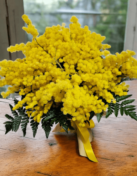 Bouquet di mimosa con prezzo a scelta.